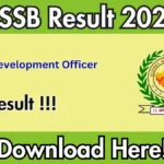 RSSB VDO Result 2025 Out – Village Development Officer Result PDF Download