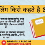 हिंदी व्याकरण में लिंग की परिभाषा, लिंग के प्रकार और उदाहरणों के साथ Ling kise kahte hai की जानकारी दर्शाने वाला शैक्षिक बैनर।